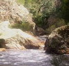 Wee Jasper Reserves Camping Sites - Tourism Gold Coast