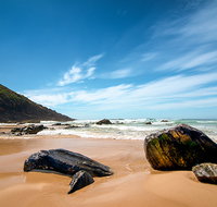 Yagon Campground - Tourism Gold Coast