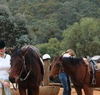 Chesleigh Homestead - Tourism Gold Coast