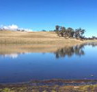 Bombala Maneroo Motel - Bombala - Tourism Gold Coast