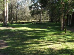 Jervis Bay Cabins And Hidden Creek Real Camping - Tourism Gold Coast 6