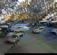 Bushlands on the Murray