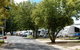 Queanbeyan Riverside Tourist Park - thumb 3