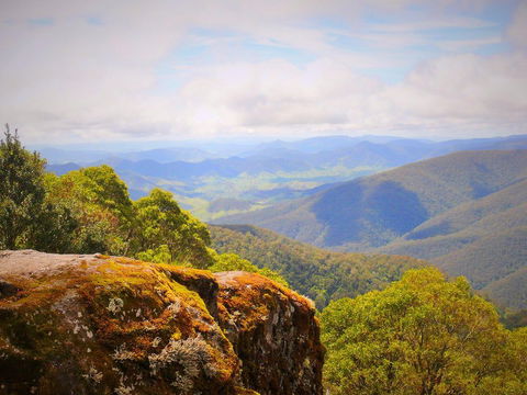 Poleys Place - Tourism Gold Coast 3
