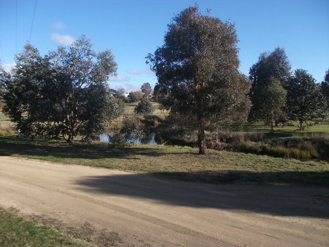 Delegate Caravan Park - Tourism Gold Coast 2