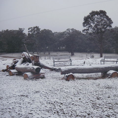 Bullock Mountain Homestead - Tourism Gold Coast 3