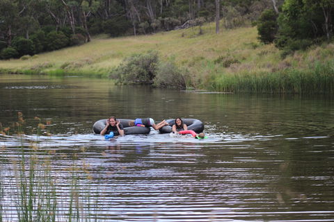 Bullock Mountain Homestead - Tourism Gold Coast 5