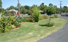 Glen Innes Motel - Glen Innes - Tourism Gold Coast 1