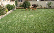 Glen Innes Motel - Glen Innes - Tourism Gold Coast 3