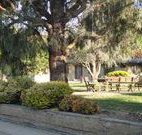 Hamilton Hume Motor Inn - Yass - Tourism Gold Coast