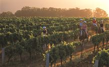 Hunter Valley Resort - Pokolbin - Tourism Gold Coast 7