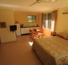 Ned's Bed Horse and Dog-Otel - Clybucca - Tourism Gold Coast