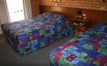 Newell Motor Inn - Narrandera - Tourism Gold Coast 1