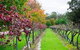 Peppers Convent Hunter Valley - Pokolbin - thumb 4