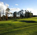 Tenterfield Golf Club and Fairways Lodge - Tenterfield - Tourism Gold Coast