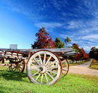 Oaks Ranch  Country Club - Tourism Gold Coast