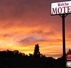 Walcha Motel - Walcha - Tourism Gold Coast