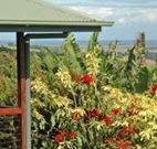 Alstonville Country Cottages - Tourism Gold Coast
