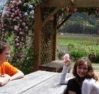 Back Forest Retreat - Tourism Gold Coast