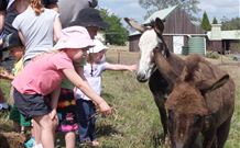 Barkeldine Farm Country Retreat - Tourism Gold Coast 2