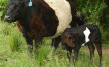 Barkeldine Farm Country Retreat - Tourism Gold Coast 4