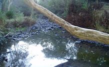 Barkeldine Farm Country Retreat - Tourism Gold Coast 3