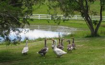 Barkeldine Farm Country Retreat - Tourism Gold Coast 6