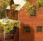 Barrington Tops Organic Retreat - Tourism Gold Coast