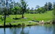 Bellingen Farmstay - thumb 0