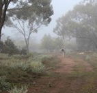 Heritage Park Bathurst - Tourism Gold Coast