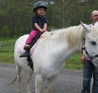 Mansfield Cottage Barrington Tops Accommodation - Tourism Gold Coast