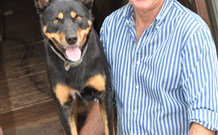 Mesopotamia Lodge Deer Park Accommodation - Tourism Gold Coast 5