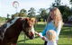 Mogendoura Farm Eurobodalla - thumb 7