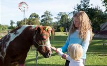 Mogendoura Farm Eurobodalla - Tourism Gold Coast 7