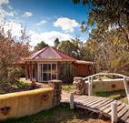 Starline Alpaca Farm Stay - Tourism Gold Coast