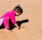 Stony Creek Farm B and B - Tourism Gold Coast