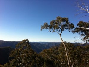 Cheyenne Wilderness Farmstay - Tourism Gold Coast 5