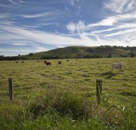 Annas Retreat - Tourism Gold Coast