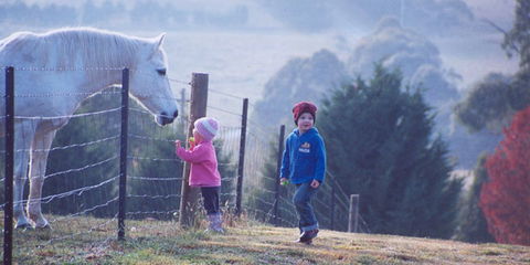 Duckmaloi Farm - Tourism Gold Coast 1