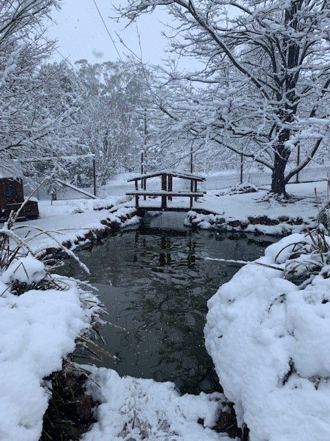 Duckmaloi Farm - Tourism Gold Coast 3