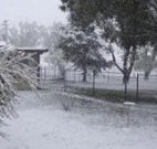 Tirrintippin - Tourism Gold Coast