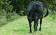 Yarralong BnB And Farm Stay - thumb 1