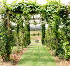 All Saints Bed and Breakfast - Tourism Gold Coast