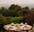 Barefoot Springs Bed and Breakfast - Tourism Gold Coast