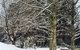 Bethany Manor Bed And Breakfast - thumb 0