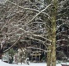 Bethany Manor Bed and Breakfast - Tourism Gold Coast