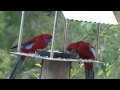 Bower At Broulee - Tourism Gold Coast 1