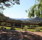 Cedar Grove - - Tourism Gold Coast