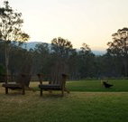 Elfin Hill - Tourism Gold Coast