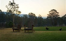 Elfin Hill - Tourism Gold Coast 0